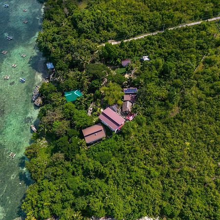 Weyh'S Studio #1 By The Ocean 100Mbps Panglao Dış mekan fotoğraf